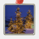 Search for park city ornaments United states