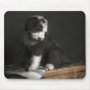 Search for looking old mousepads Animal