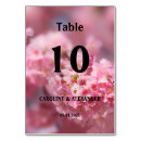 Search for number photography Elegant