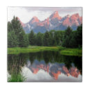 Search for light reflection tiles Nature