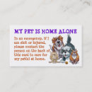 Recherche de animaux maison cartes visite Chats