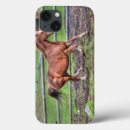 Search for equines cases Horse lovers
