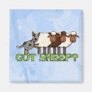 Search for herding dog magnets Acd