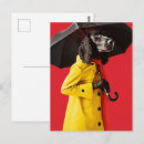 Recherche de imperméable cartes postales Jaune