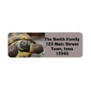 Search for reptile return address labels Pet