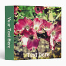 Recherche de cornouiller rose Fleur