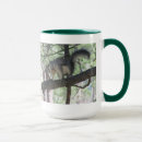 Search for cute squirrel pictures mugs Wildlife