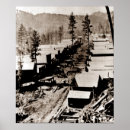 Search for deadwood Gold