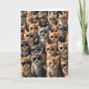 Search for from the cat birthday cards Feline