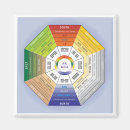 Search for feng magnets Shui
