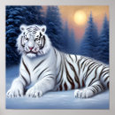 Search for white tiger art Snow
