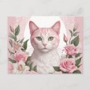 Recherche de chaton rose cartes postales Portrait