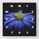 Search for daisy flower clocks Daisies