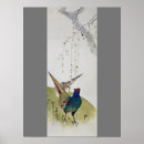 Search for pheasant posters Bird