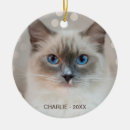 Search for ragdoll cat ornaments Pet