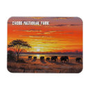 Recherche de parc national chobe magnets Nature