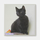 Recherche de minou noir magnets Félin
