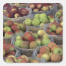 Search for apple basket stickers Harvest