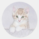 Search for tabby cat kitten stickers Cute