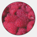 Search for raspberry stickers Fruit