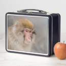 Search for monkey drinking photography Primate