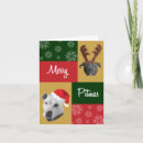 Search for dog breed christmas cards Merry