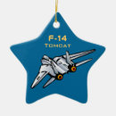 Search for f14 Pilot