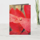 Recherche de point polka vœux cartes Coccinelle