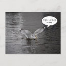 Search for comical birds postcards Nature