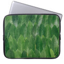 Search for fragrant Leaves