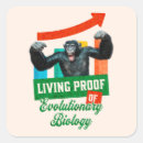 Search for primate stickers Chimpanzee