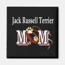 Recherche de jack russel magnets Chien