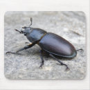 Search for stag mousepads Wildlife