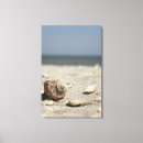 Search for seashell pictures canvas prints Sand