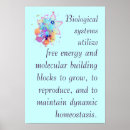 Search for biology posters Education