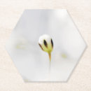 Search for bud coasters White