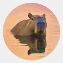Recherche de animal capybara autocollants Amérique du sud