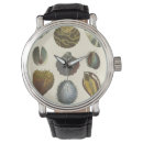 Recherche de palourde accessoires Coquillage