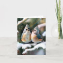 Search for titmouse cards Wildlife