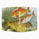 Search for aquatic binders Goldfish