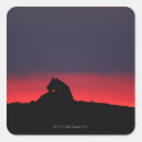 Search for panthera stickers Outdoors