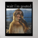 Search for monkey drinking posters Retro