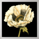 Recherche de arrière plan crème posters Fleur