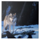 Search for wildlife tiles Snow