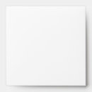 Search for lined envelopes White
