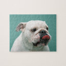 Recherche de bulldog puzzles Nature