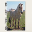 Search for fjord horse Farm