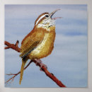 Search for wren posters Cardinal