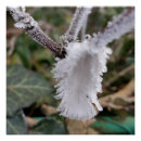 Recherche de congélation posters Pour tous