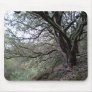 Search for spring tree mousepads Trees